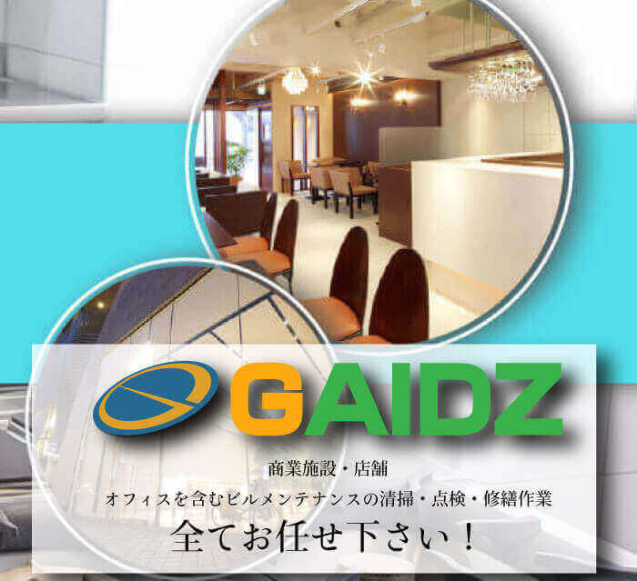 株式会社GAIDZ(ガイズ)